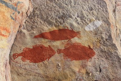 Red Ochre Fish by Unbekannt Unbekannt